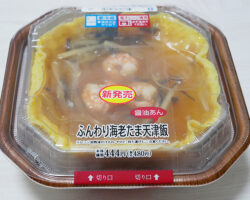 ふんわり海老たま天津飯(480円)