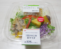 3種きのこの秋サラダ(351円)