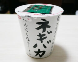 ネギバカ 青ネギオイル仕立てのにんにく塩ラーメン(228円)
