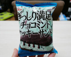 ぎっしり満足！チョコミントクッキーサンド(178円)